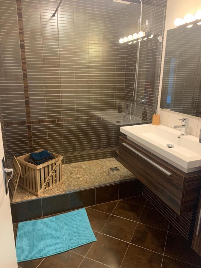 Le Meuble De Naya Apartment Saulcy-sur-Meurthe ภายนอก รูปภาพ